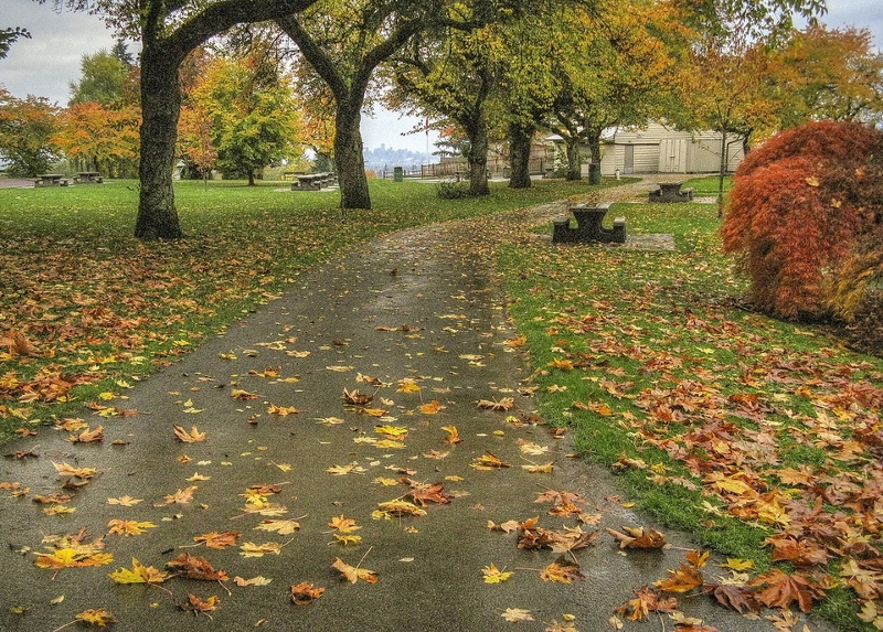В парк пришла осень. Осенняя прогулка. Фоторассказ осенней прогулки. Осенний парк прогулка. Осень в парке Запорожье.